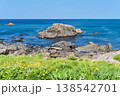 「青森県」渚に花咲く初夏の種差海岸・八戸市 「青森県」渚に花咲く初夏の種差海岸・八戸市 138542701