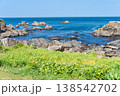 「青森県」渚に花咲く初夏の種差海岸・八戸市 「青森県」渚に花咲く初夏の種差海岸・八戸市 138542702