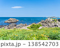 「青森県」渚に花咲く初夏の種差海岸・八戸市 「青森県」渚に花咲く初夏の種差海岸・八戸市 138542703