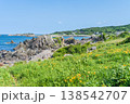「青森県」渚に花咲く初夏の種差海岸・八戸市 「青森県」渚に花咲く初夏の種差海岸・八戸市 138542707