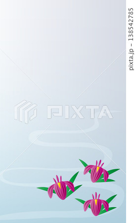 菖蒲の花 夏の背景 菖蒲の花 夏の背景 138542785