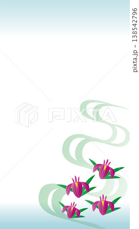 菖蒲の花 夏の背景 菖蒲の花 夏の背景 138542796