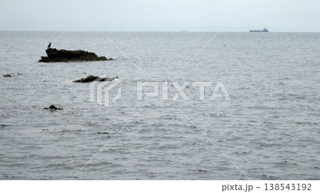 夏の穏やかな日本海と岩に休む海鳥と船舶 夏の穏やかな日本海と岩に休む海鳥と船舶 138543192
