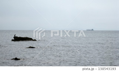 夏の穏やかな日本海と岩に休む海鳥と船舶 夏の穏やかな日本海と岩に休む海鳥と船舶 138543193