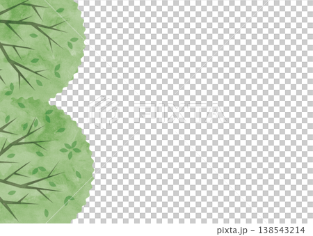 Simple background with fresh greenery, left-aligned layout, and natural copy space. Simple background with fresh greenery, left-aligned layout, and natural copy space. 138543214