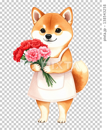 穿著圍裙、手持康乃馨的紅色柴犬－母親節/花店主題剪紙設計 #2 138543258
