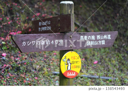 道標（櫟山・カシワの森・黒竜の滝） 138543493