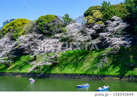 東京都 千鳥ヶ淵 ボート場 満開の桜 令和8年 東京都 千鳥ヶ淵 ボート場 満開の桜 令和8年 138543644