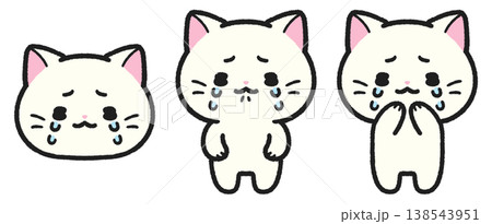 泣いている猫のイラストセット 138543951
