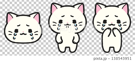 泣いている猫のイラストセット 138543951