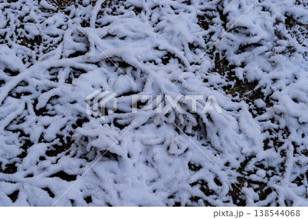 積雪した森の地面 138544068