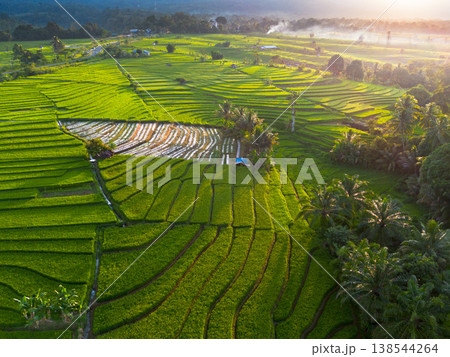 Beautiful morning view in Indonesia, panoramic landscape of rice fields with mountain ranges and clear sky Beautiful morning view in Indonesia, panoramic landscape of rice fields with mountain ranges and clear sky 138544264