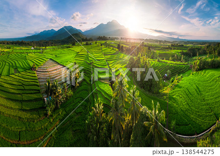 Beautiful morning view in Indonesia, panoramic landscape of rice fields with mountain ranges and clear sky Beautiful morning view in Indonesia, panoramic landscape of rice fields with mountain ranges and clear sky 138544275