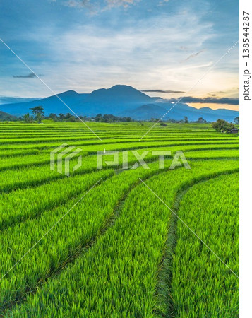 Beautiful morning view in Indonesia, panoramic landscape of rice fields with mountain ranges and clear sky 138544287