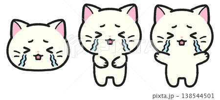 泣いている猫のイラストセット 138544501