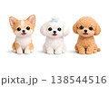 かわいい3Dスタイルの小型犬の3匹セット 138544516