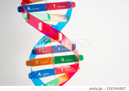 DNA molecule spiral structure model isolated on white background, chromosome and gene chemical science biology. DNA molecule spiral structure model isolated on white background, chromosome and gene chemical science biology. 138544807