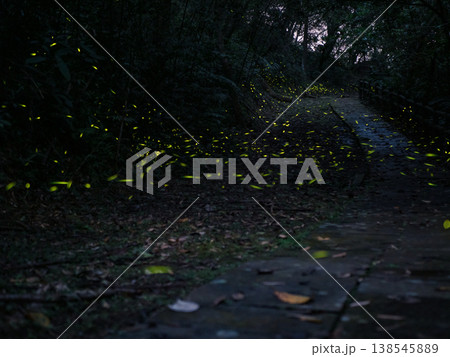 自然 天然 ナチュラル 138545889