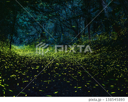 自然 天然 ナチュラル 138545893