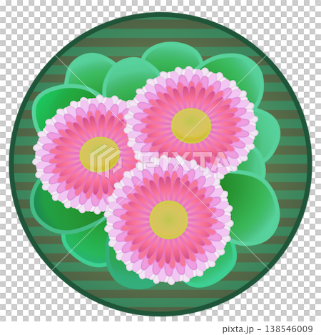 Daisy illustration with a circular background 138546009