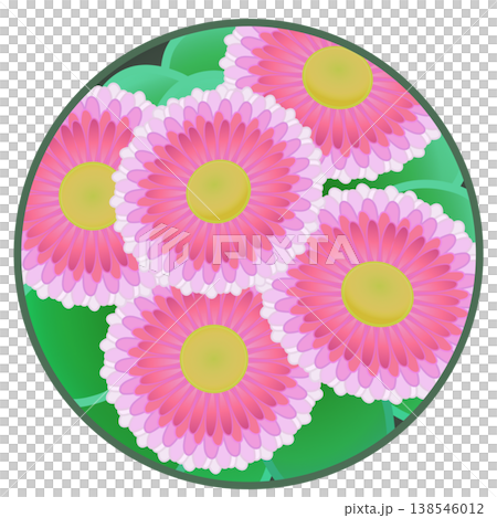 Daisy illustration with a circular background Daisy illustration with a circular background 138546012