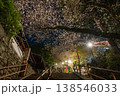 夜桜を見上げて 138546033