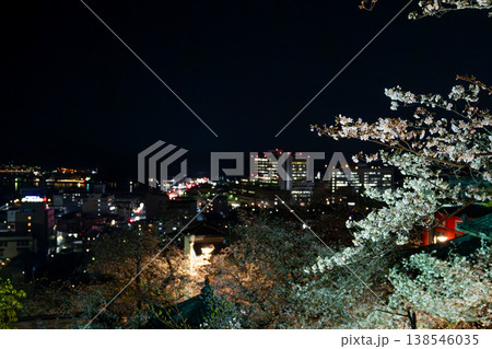 夜桜が咲く紀三井寺から望む景色 138546035