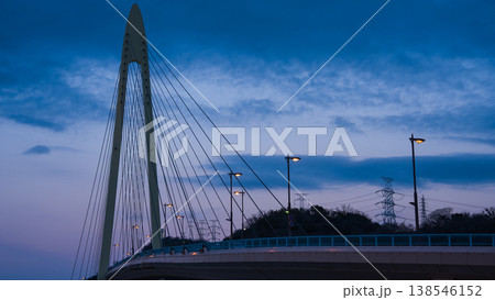 トワイライトブリッジ ～和歌山マリーナシティ～ 138546152