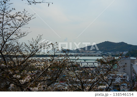 春の紀三井寺から望む和歌浦湾 春の紀三井寺から望む和歌浦湾 138546154