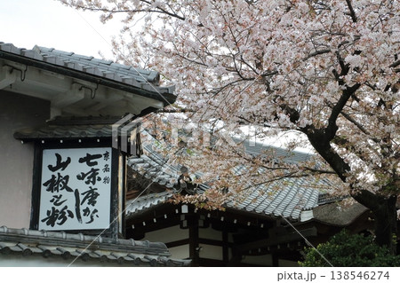 満開の桜と七味屋の看板 満開の桜と七味屋の看板 138546274
