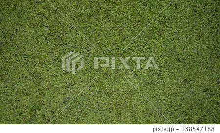 Green grass background, top view background of garden bright grass concept used for making green backdrop. Green grass background, top view background of garden bright grass concept used for making green backdrop. 138547188