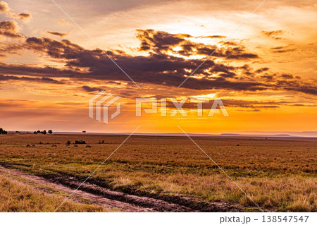 Maasai Mara National Game Reserve Park Great Rift Valley Narok County Kenya East Africa Savannah Grassland Wild Wildlife Animals Bush Adventure Travels Safaris Sunset Sunrise Sundwoner Birds Discovery 138547547
