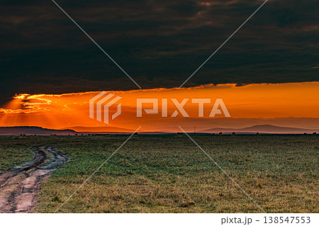 Maasai Mara National Game Reserve Park Great Rift Valley Narok County Kenya East Africa Savannah Grassland Wild Wildlife Animals Bush Adventure Travels Safaris Sunset Sunrise Sundwoner Birds Discovery 138547553