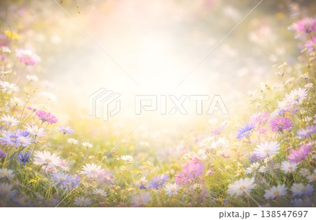 やわらかな花のぼかし背景素材(コピースペースあり) やわらかな花のぼかし背景素材(コピースペースあり) 138547697