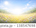 光に包まれた花畑と青空の背景素材（コピースペースあり） 138547698