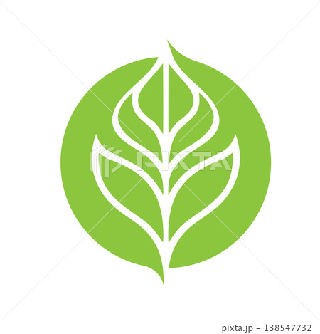 Fresh Botanical Leaf Logo Concept 138547732