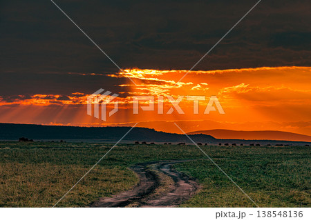 Maasai Mara National Game Reserve Park Great Rift Valley Narok County Kenya East Africa Savannah Grassland Wild Wildlife Animals Bush Adventure Travels Safaris Sunset Sunrise Sundwoner Birds Discovery 138548136