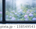 窓越しに見る雨と紫陽花の風景（窓枠・梅雨・背景素材） 138549543