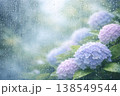 雨粒のついたガラス越しに見る紫陽花の背景素材（梅雨・コピースペース） 138549544