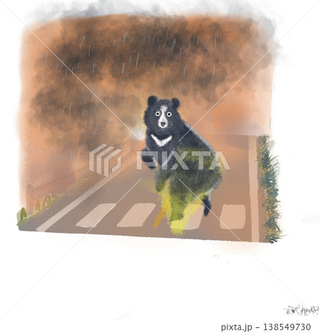 雨の夕方に道路を横断するクマのイラスト 動物注意・交通安全素材 雨の夕方に道路を横断するクマのイラスト 動物注意・交通安全素材 138549730