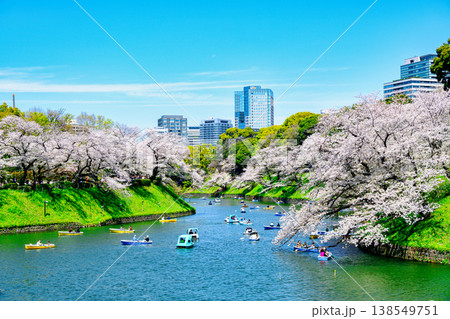 東京都　千鳥ヶ淵　ボート場　満開の桜　令和8年 138549751