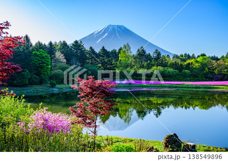 富士山と満開の芝桜 富士芝桜まつりの絶景（山梨県） 138549896