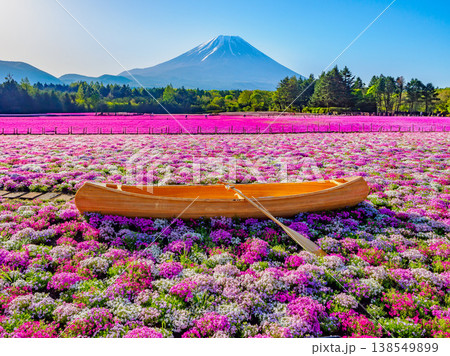 富士山と満開の芝桜 富士芝桜まつりの絶景（山梨県） 138549899
