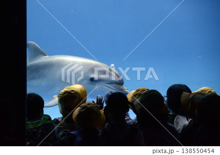 水族館の風景 138550454