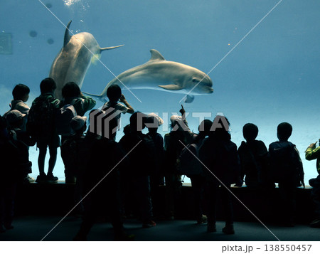 水族館の風景 138550457