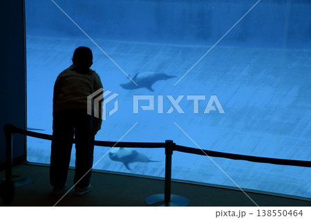 水族館の風景 水族館の風景 138550464