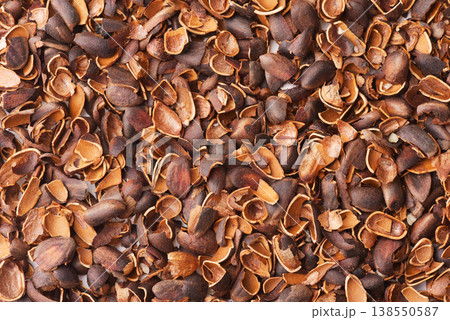 Top view of empty pine nut shells Top view of empty pine nut shells 138550587