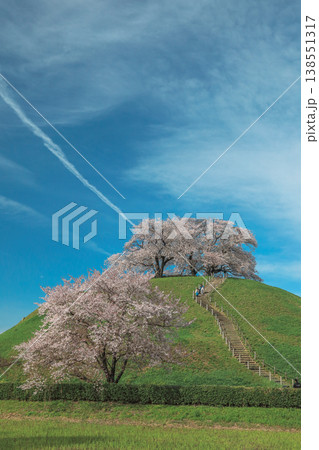 埼玉古墳と満開の桜と飛行機雲 埼玉古墳と満開の桜と飛行機雲 138551317