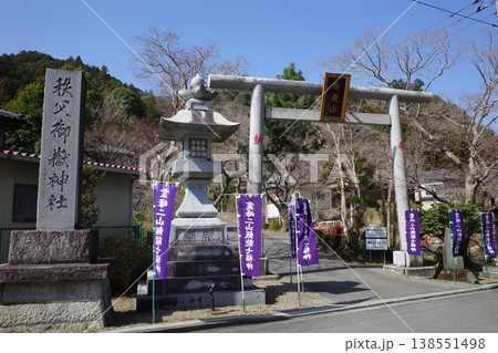 飯能市にある東郷公園秩父御嶽神社の入口にある鳥居 飯能市にある東郷公園秩父御嶽神社の入口にある鳥居 138551498