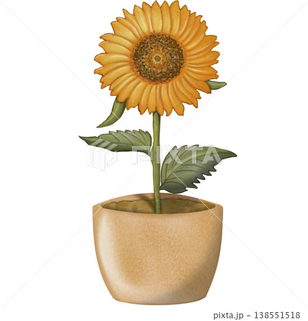 Sunflower hand drawn watercolor spring floral set. Hand drawn yellow flower, leaf, Cute nature decorate element design. 138551518